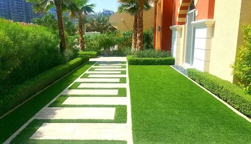 20160901 141858 500x500